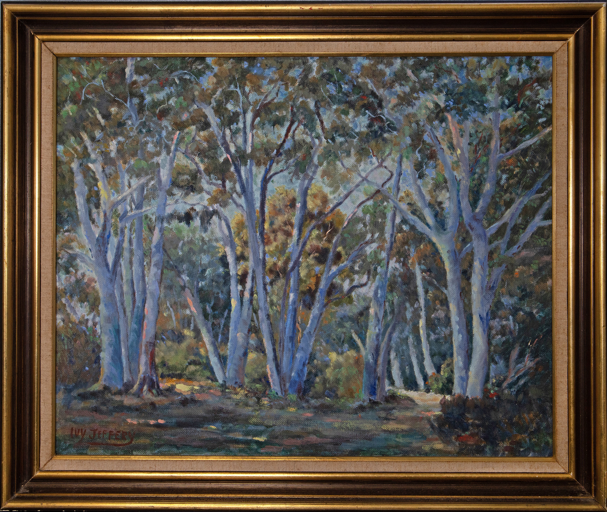461 · Ivy Jeffery, 'The Wattle in the Gums'