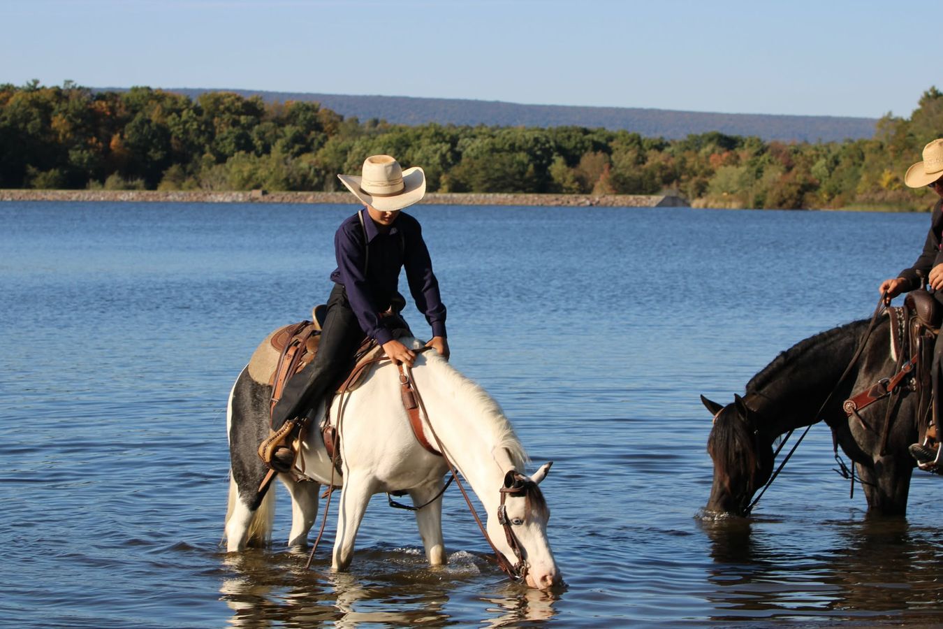 CHECKERS | Horse Bid, LLC