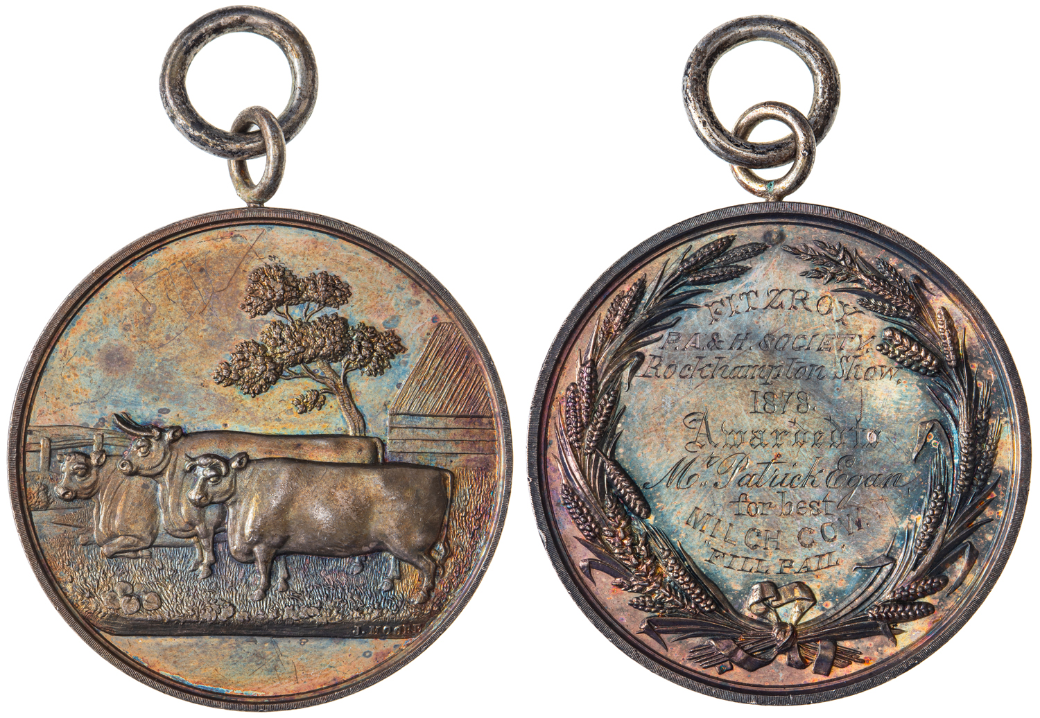 Rockhampton Show Agricultural Show, 1878, EF
