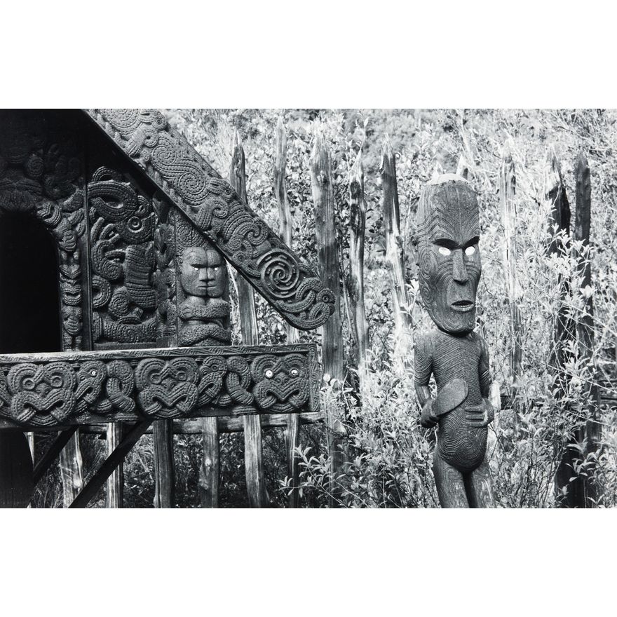 Peter Peryer 'Whakarewarewa'