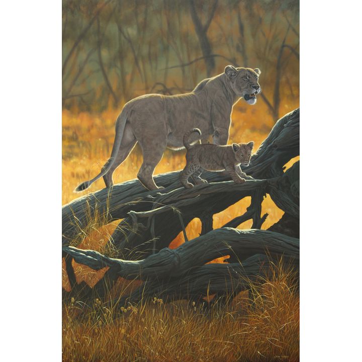 Steve Burgess (1960- ), Sundowners