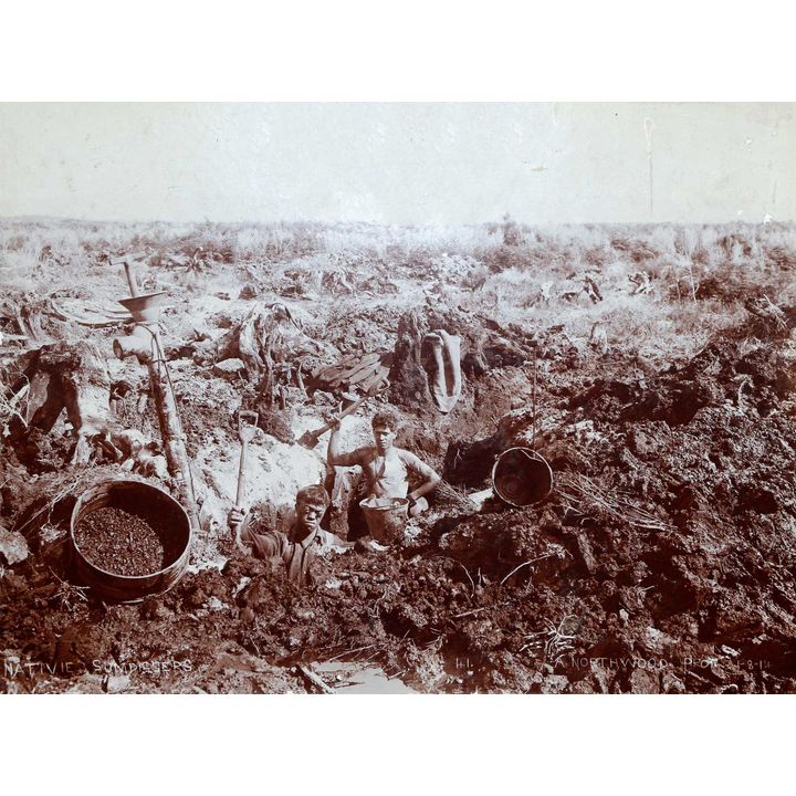 NORTHWOOD, ARTHUR, JAMES - Native Gumdiggers