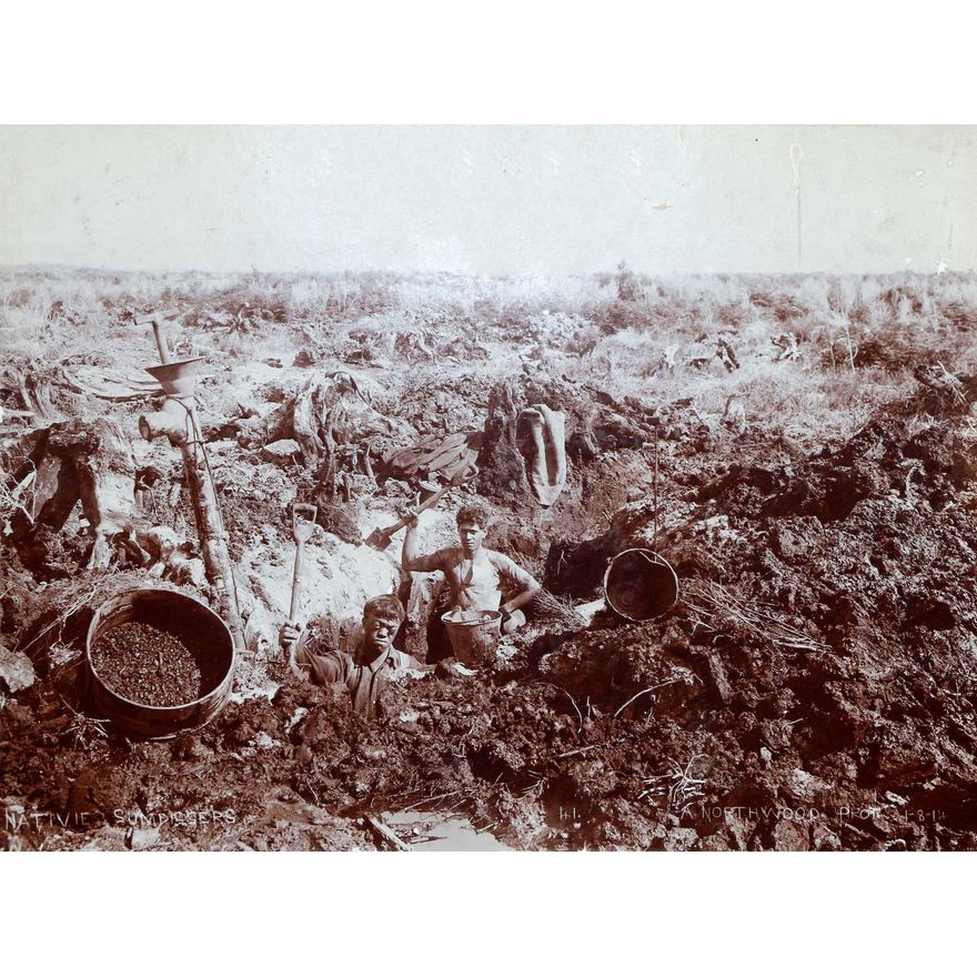 NORTHWOOD, ARTHUR, JAMES - Native Gumdiggers