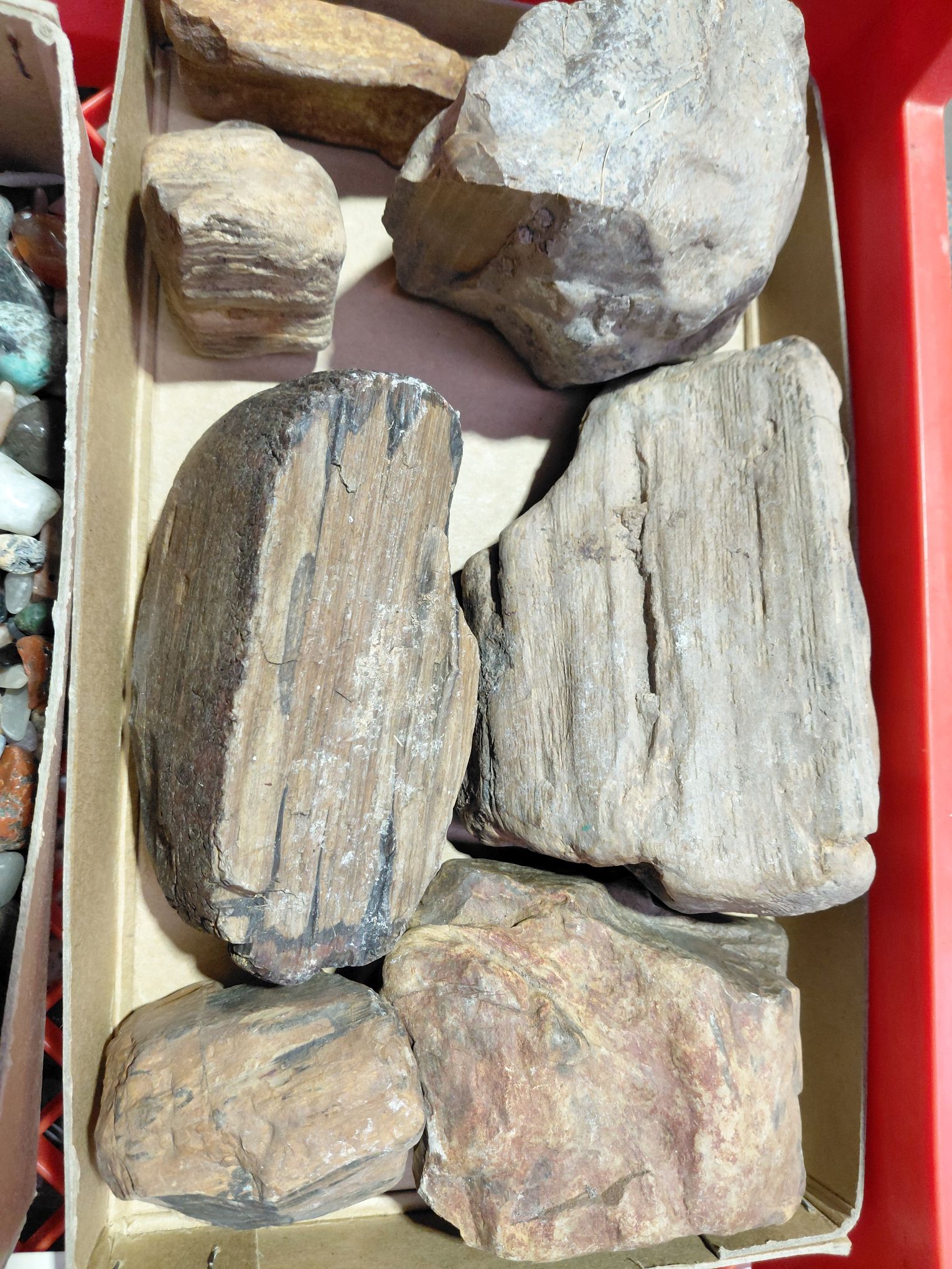 121 · FOUR KILOS FOSSIL PETRIFIED WOOD