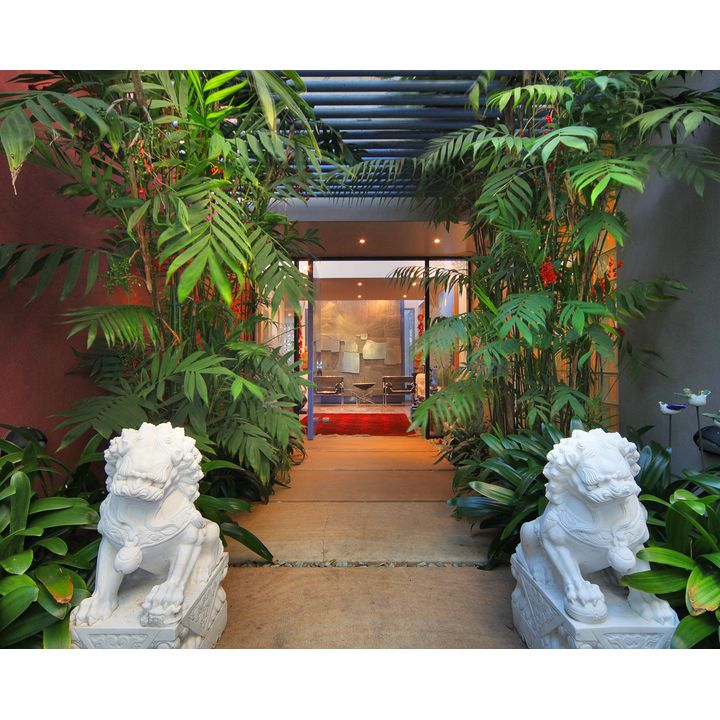 A pair of Chinese stone lions