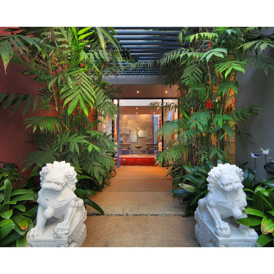 A pair of Chinese stone lions