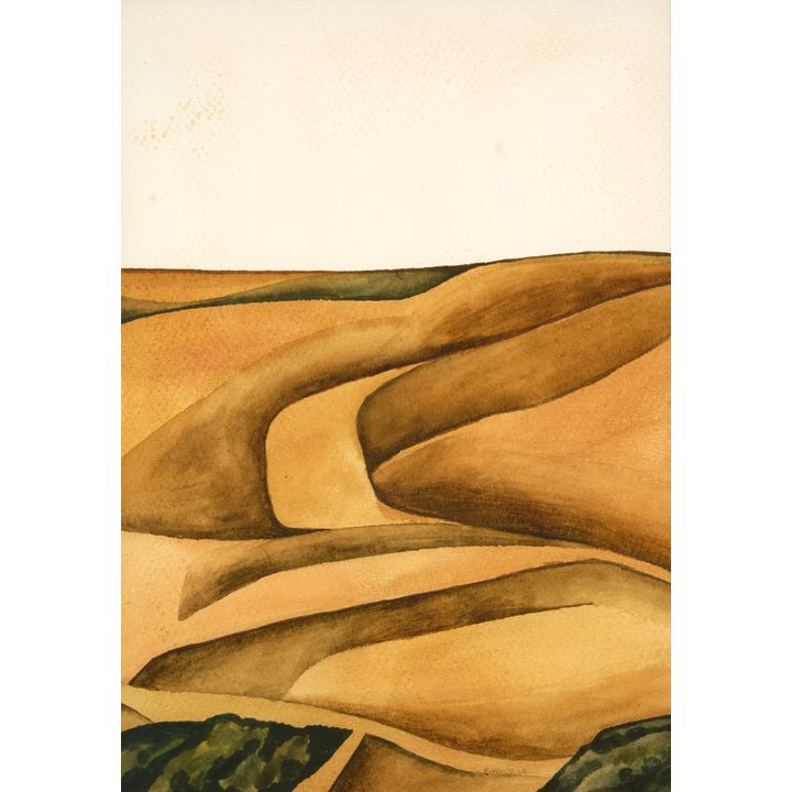 Robin White 'Paremata Landscape'