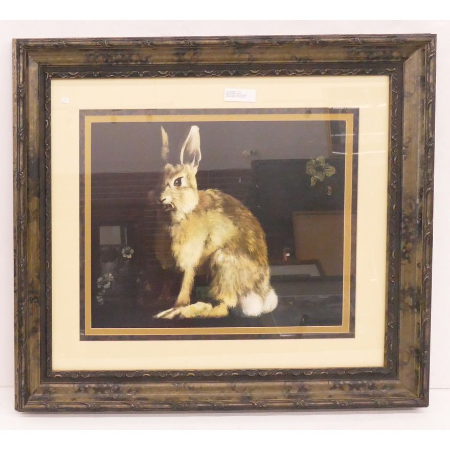Rabbit Gallery Framed Print- 30x35''