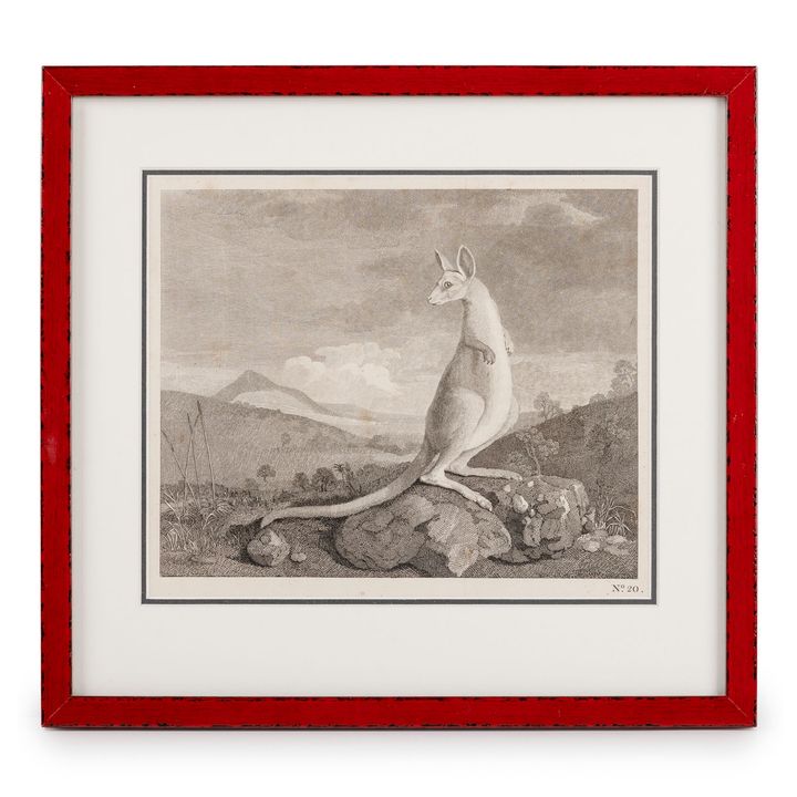 William Byrne & J.H. Stewart, Kangaroos, C1774 - 1848,
