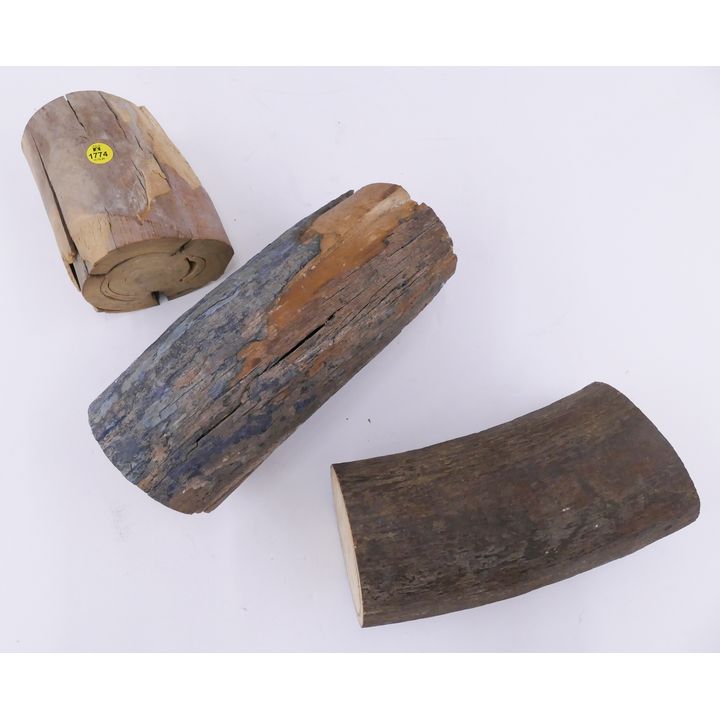 3pc Large Woolly Mammoth Tusk Fragments- Largest 11''