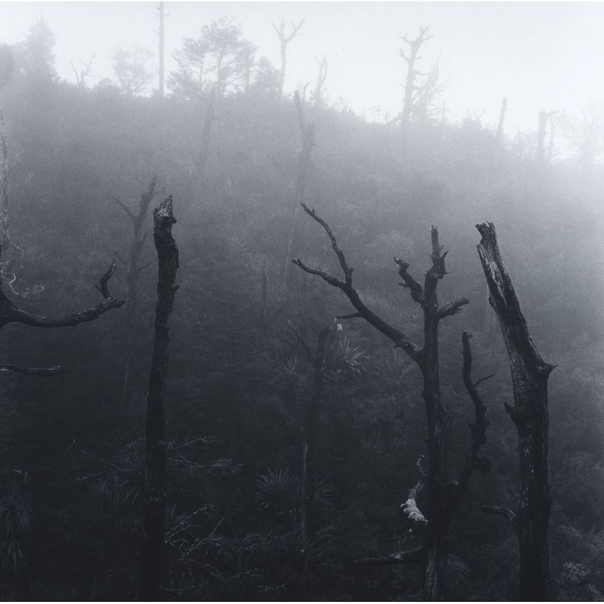 Peter Peryer 'Ruapehu'