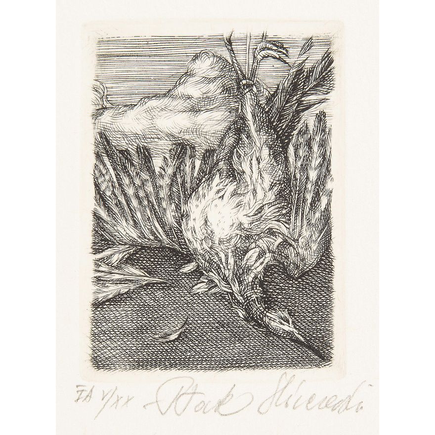 Krzysztof Skórczewski | Ptak