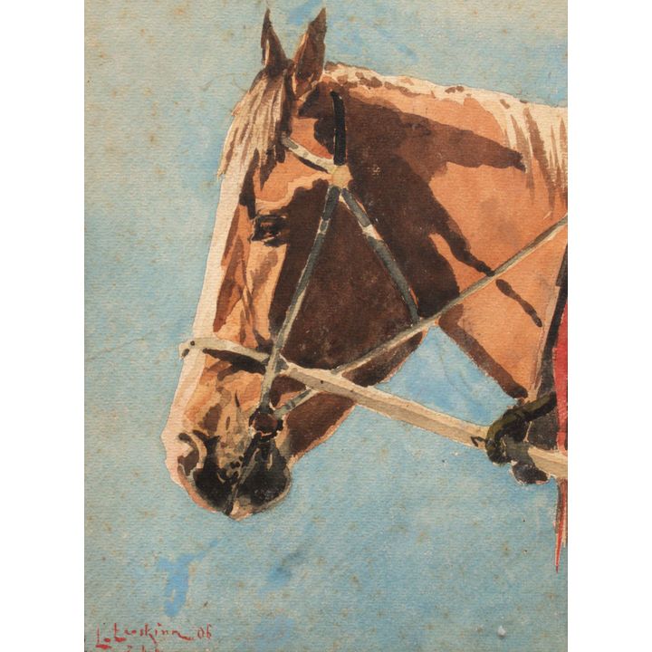 Głowa konia, 1906