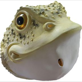 ELYMWOO HALLOWEEN REALISTIC TOAD MASK - FULL HEAD LATEX FROG ANIMAL COSTUME PROP