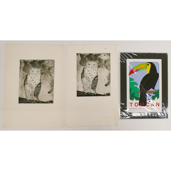 3pc Desiree Smith ''Toucan'' & Owl Etchings Largest 22'' x 16''