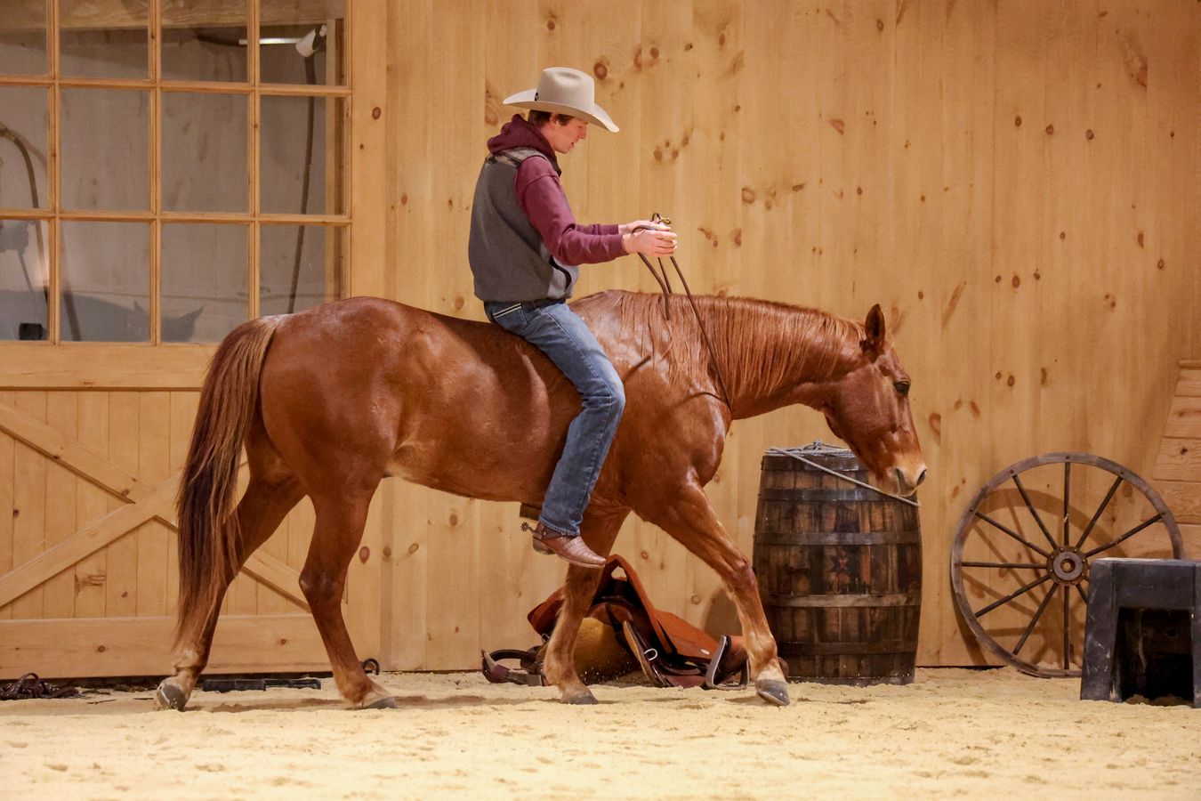 ROAN RANGER *LMR LOOKIN FOR PEP* | Horse Bid, LLC