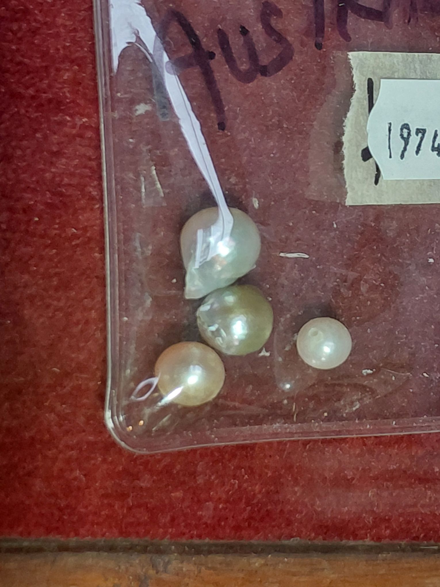 Australian Salt Water Pearls