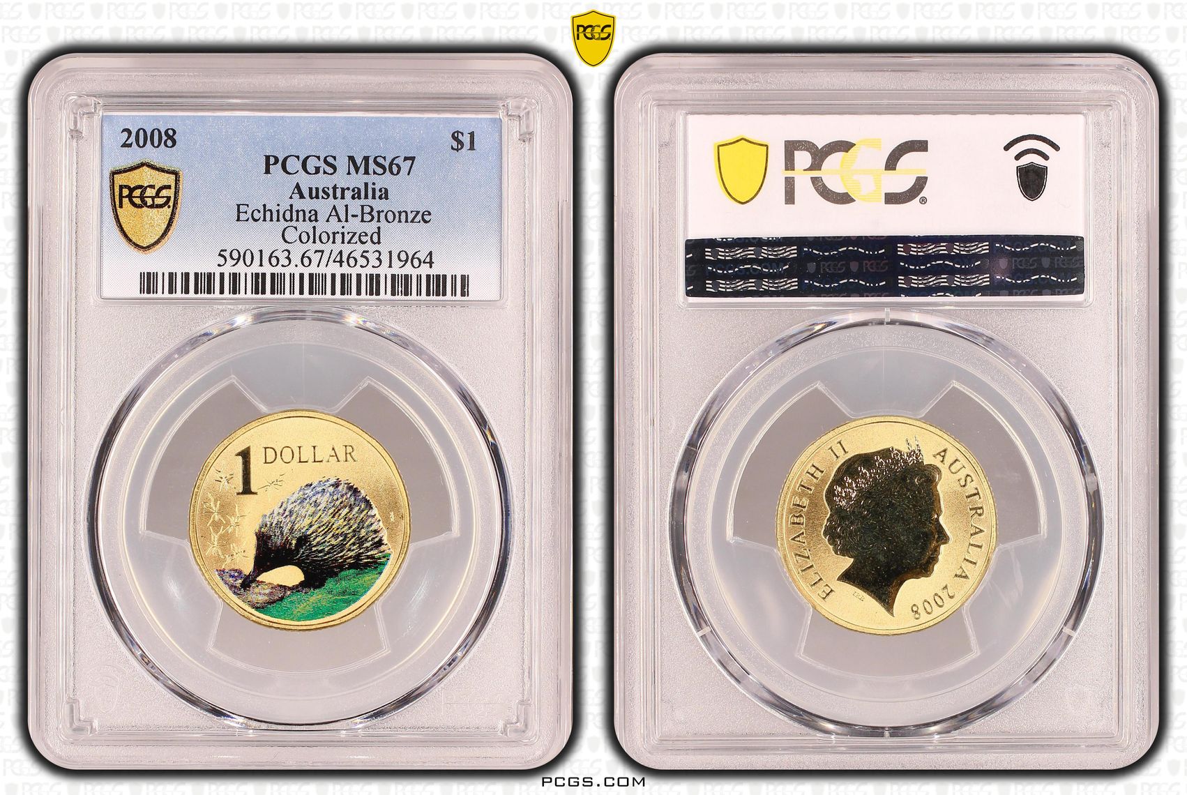 Elizabeth II, Echidna Al-Bronze Colorized, One Dollar, 2008, PCGS MS 67
