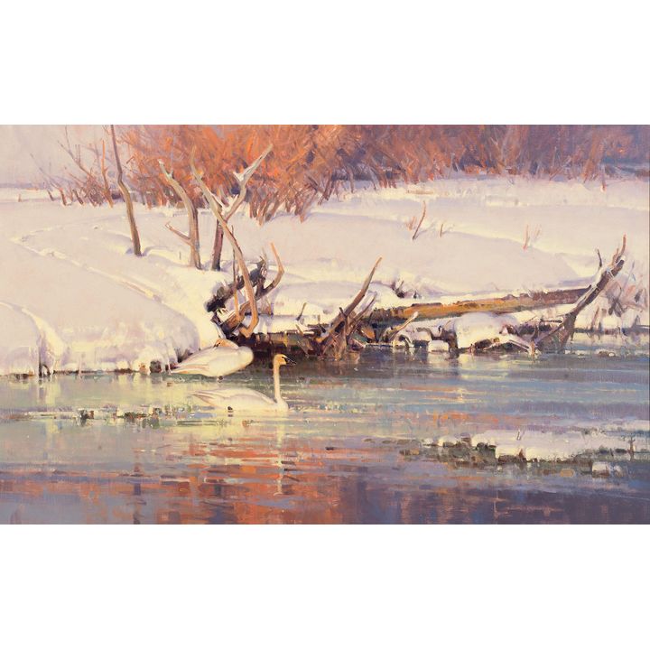 James Morgan (1947- ), Wintering Trumpeters
