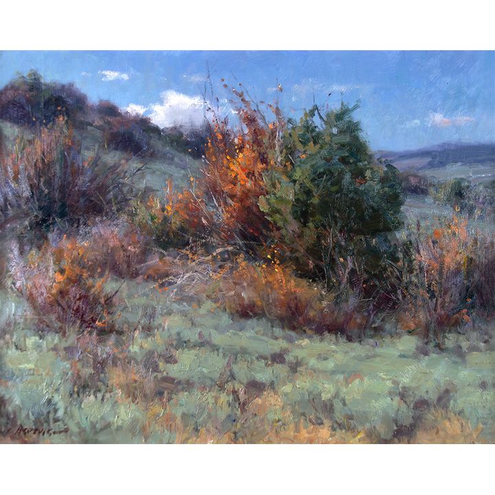 Clyde Aspevig (1951- ), Wyoming Hillside