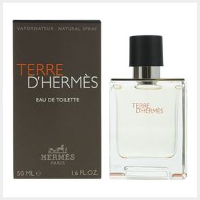 Hermes Terre D Hermes Eau De Toilette 100ml for Him (Parallel Import) |