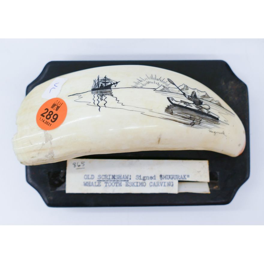Nugaruk Eskimo Scrimshawed Tooth on Stand- 5.5''