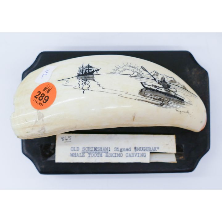 Nugaruk Eskimo Scrimshawed Tooth on Stand- 5.5''