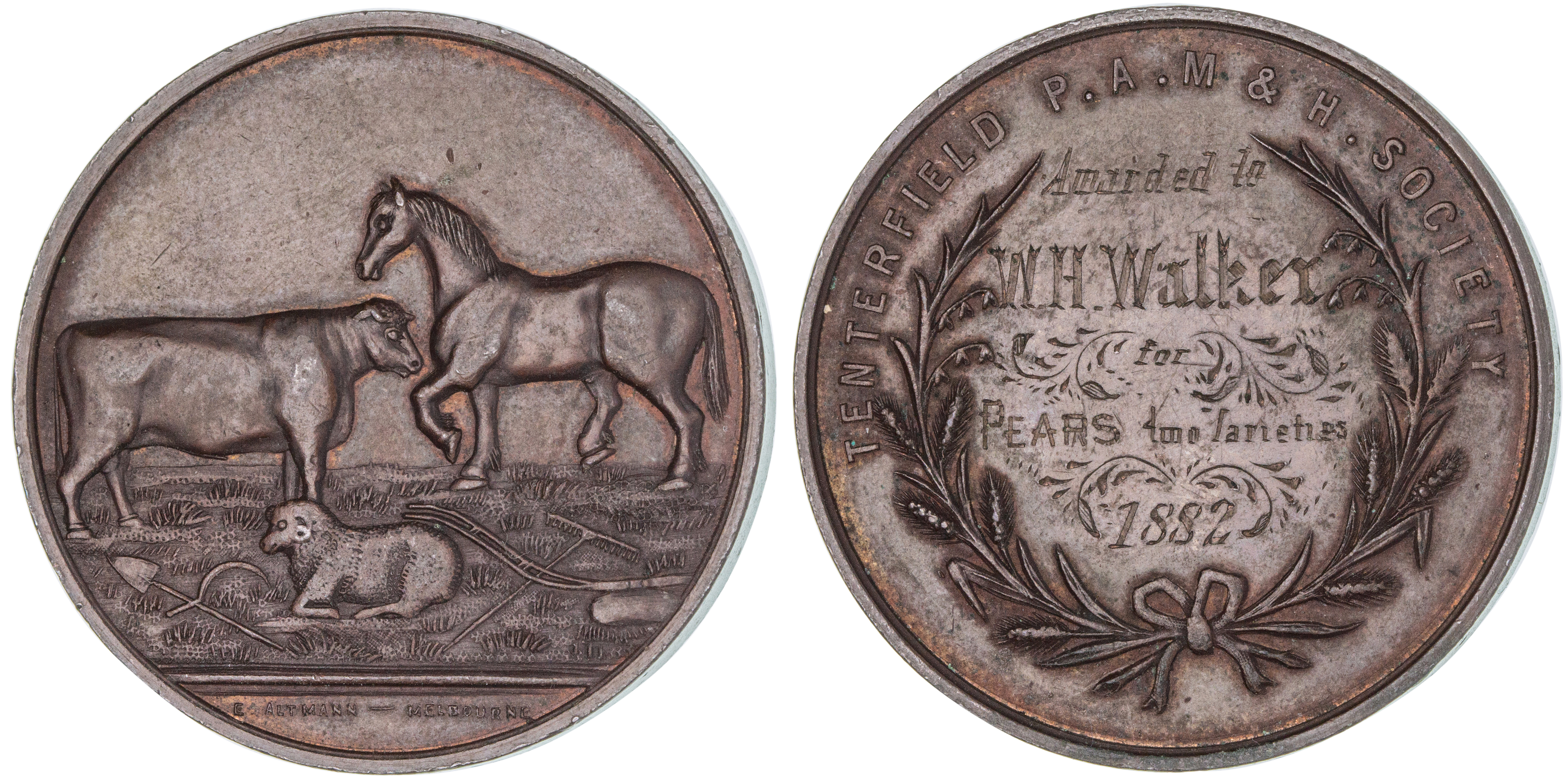 Tenterfield Intercolonial Pastoral Agricultural & Mining , 1882, EF
