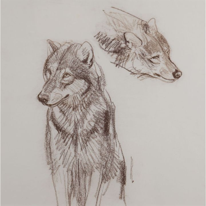Bob Kuhn (1920-2007), Wolf Studies