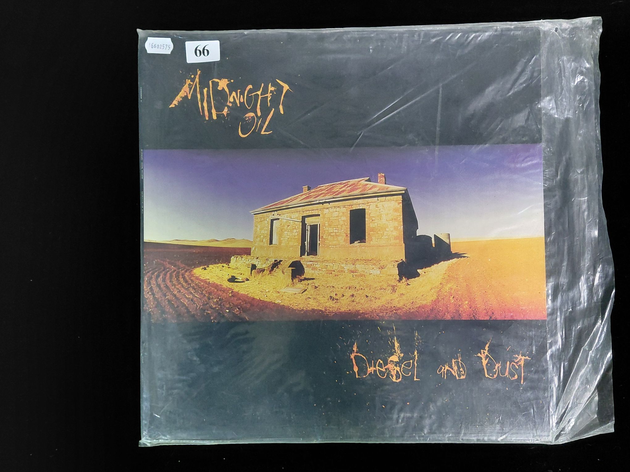 Midnight Oil
