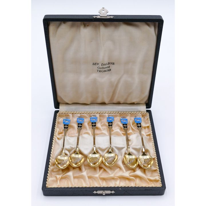 Set 6 Norne Norwegian Enamel Sterling Demi Spoons in Box
