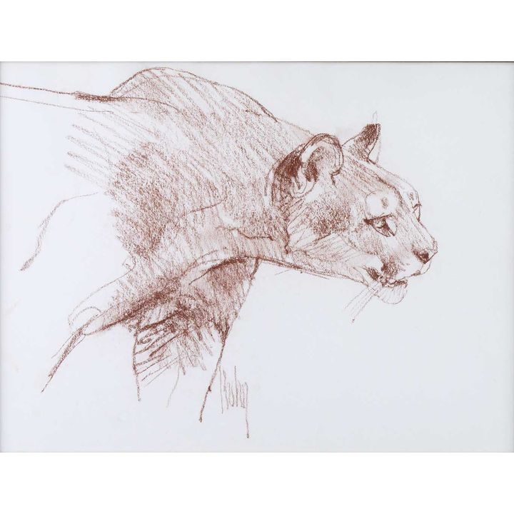 Bob Kuhn (1920-2007), Cougar