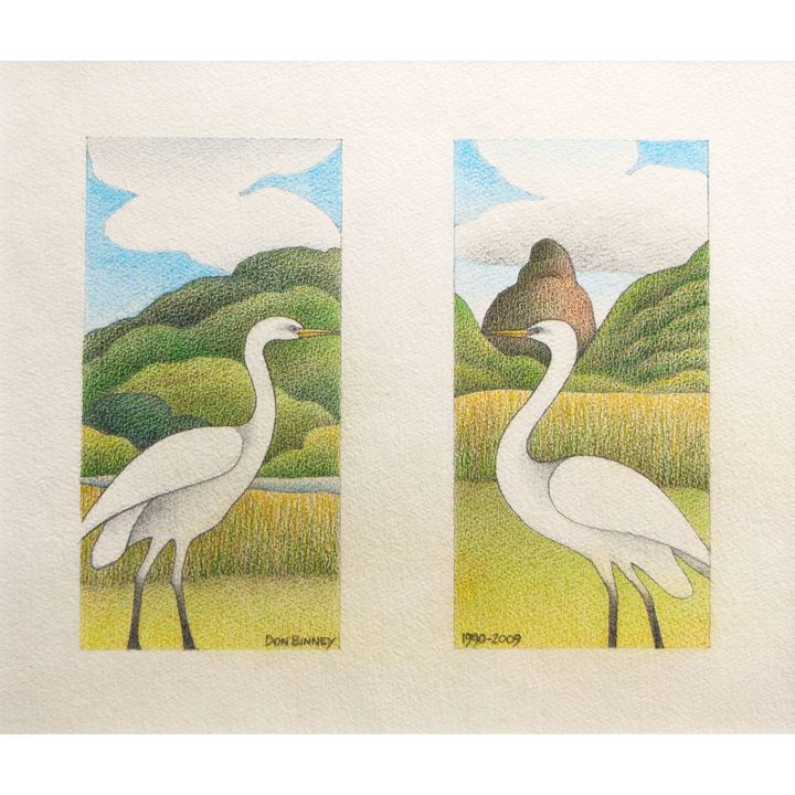 Don Binney 'Egret Intermedia, Piha: Duo'