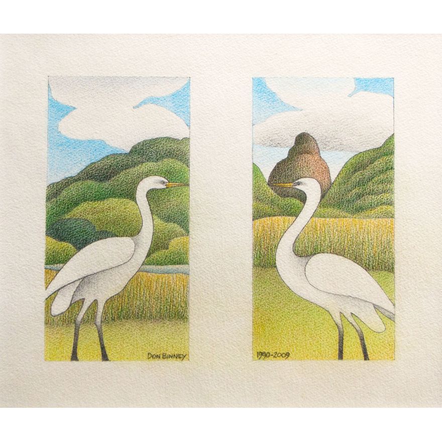 Don Binney 'Egret Intermedia, Piha: Duo'