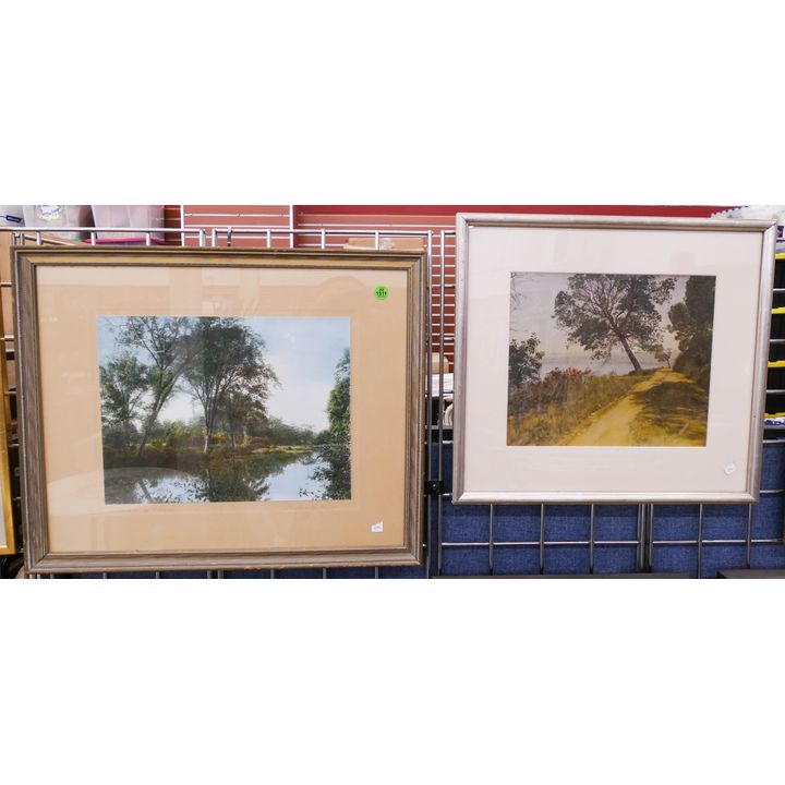 2pc Framed Tinted Landscape Photographs- largest 18x22''