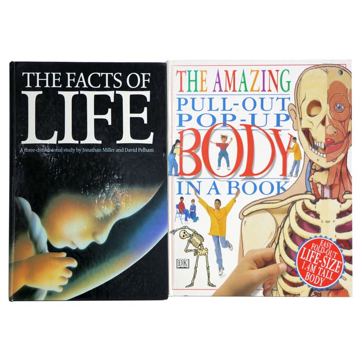 HAWOCK, DAVID [2 Pop Up Books], The Amazing Pull-out Pop-Up Body in a Book.