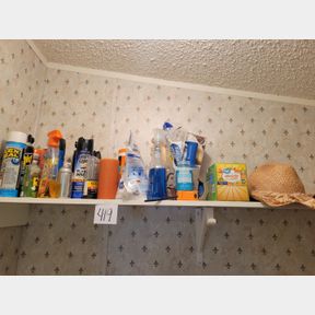 Assorted cleaners and bug killers and other misc.