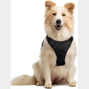 MEDIUM RABBITGOO DOG HARNESS NO PULL WITH 2 LEASH CLIPS, ADJUSTABLE SOFT PADDED, REFLECTIVE OXFORD NO CHOKE PET VEST WITH EASY CON