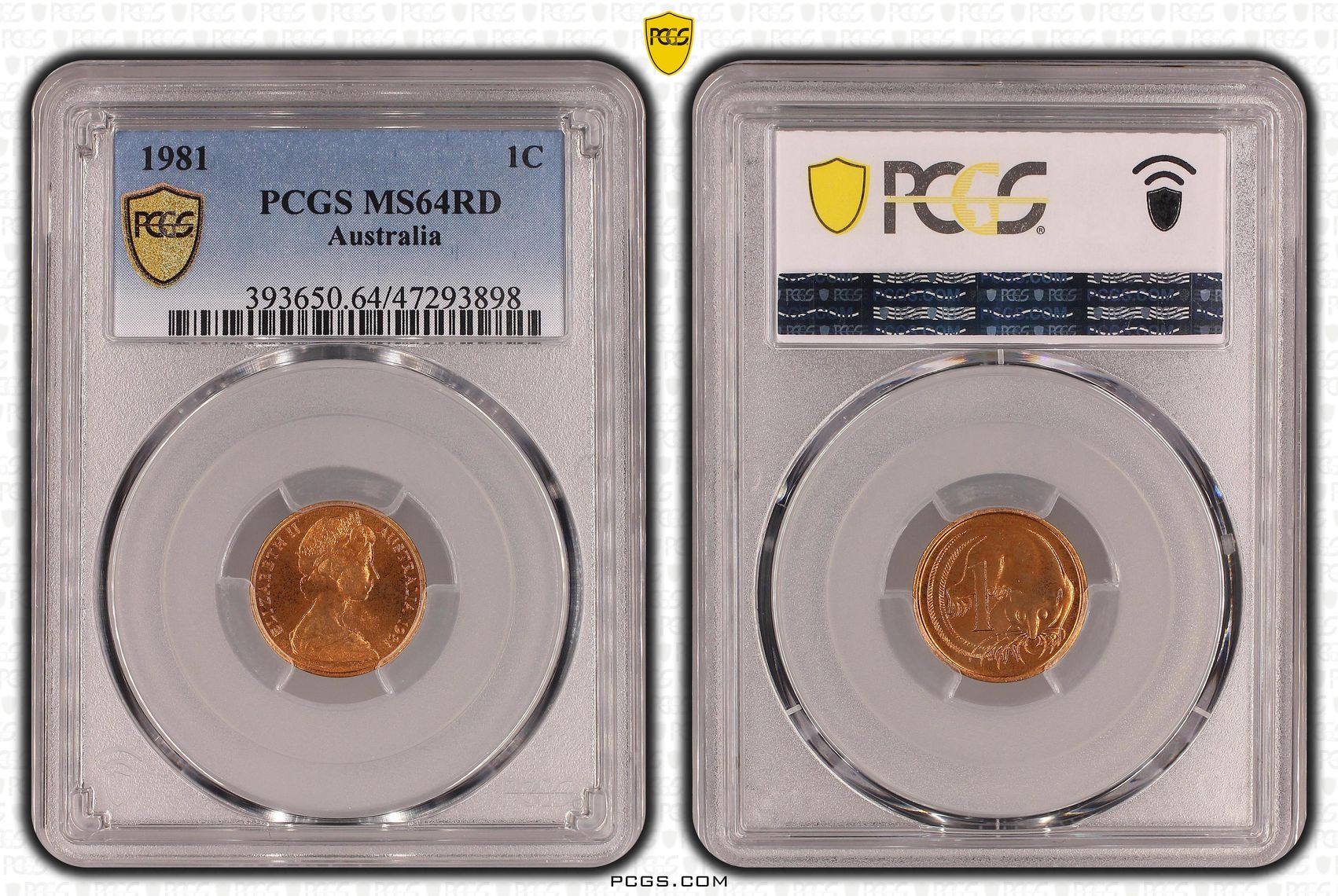 Elizabeth II, , One Cent, 1981, PCGS MS64RD