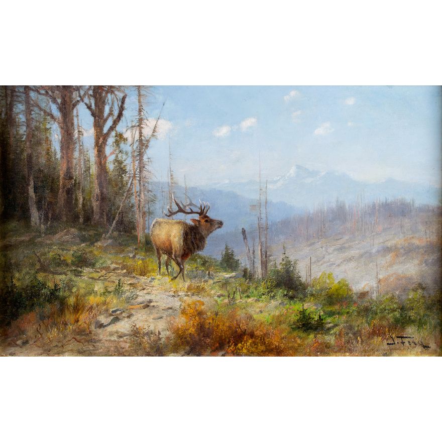 John Fery (1859-1934), Glacier Park Elk