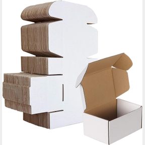 6" X 4" X 3" HORLIMER 6X4X3 INCHES SHIPPING BOXES SET OF 50, WHITE CORRUGATED CARDBOARD BOX LITERATURE MAILER