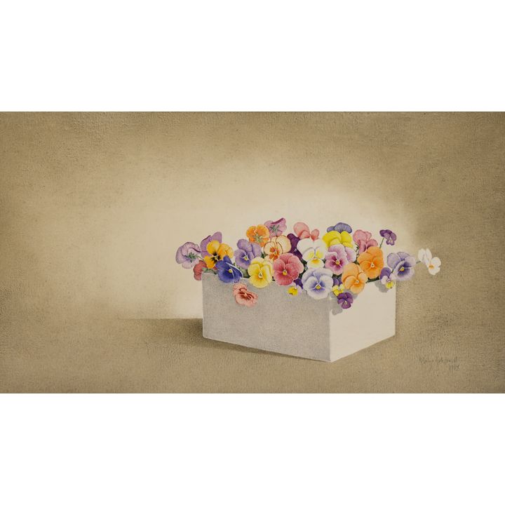 Rosalyn Gale Powell ''Pansies in a White Box'' 1994