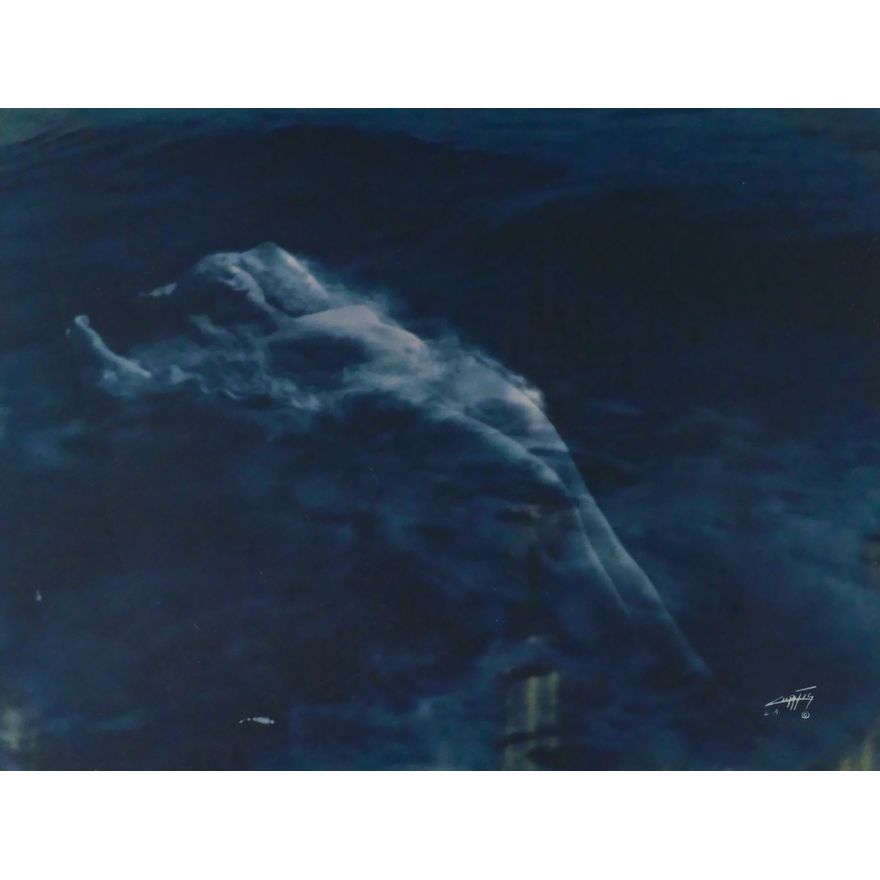 Edward Curtis ''Floating Aphrodite'' 1920 Bluetone