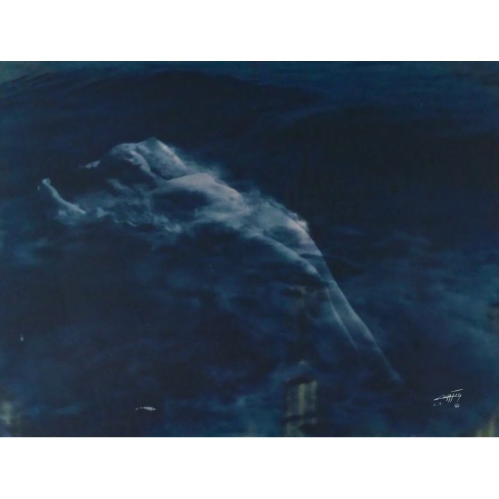Edward Curtis ''Floating Aphrodite'' 1920 Bluetone