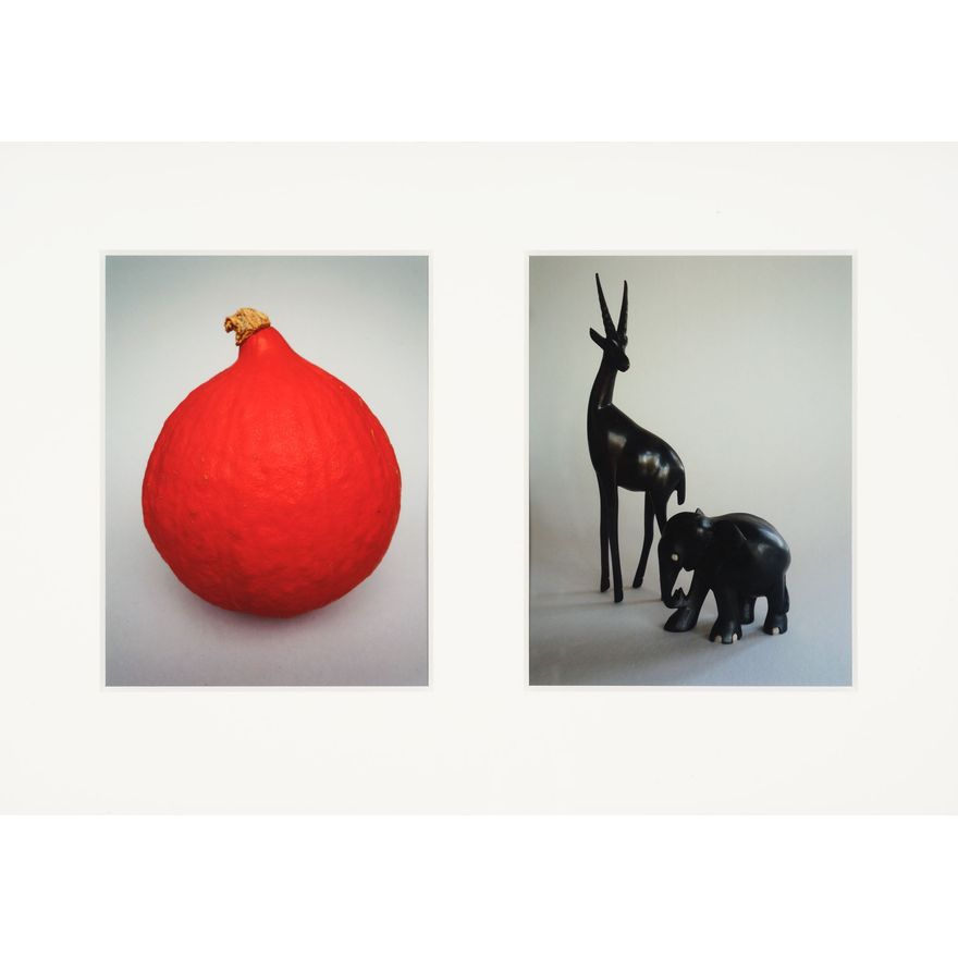 Peter Peryer 'Pumpkin, Ebony'