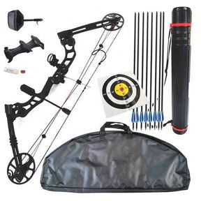 COMPLETE PROFESSIONAL COMPOUND BOW SET FOR HUNTING WITH CARRY bag & QUIVER 20 CARBON ARROW + 6 HUNTING ARROW HEADS - 52055/33108