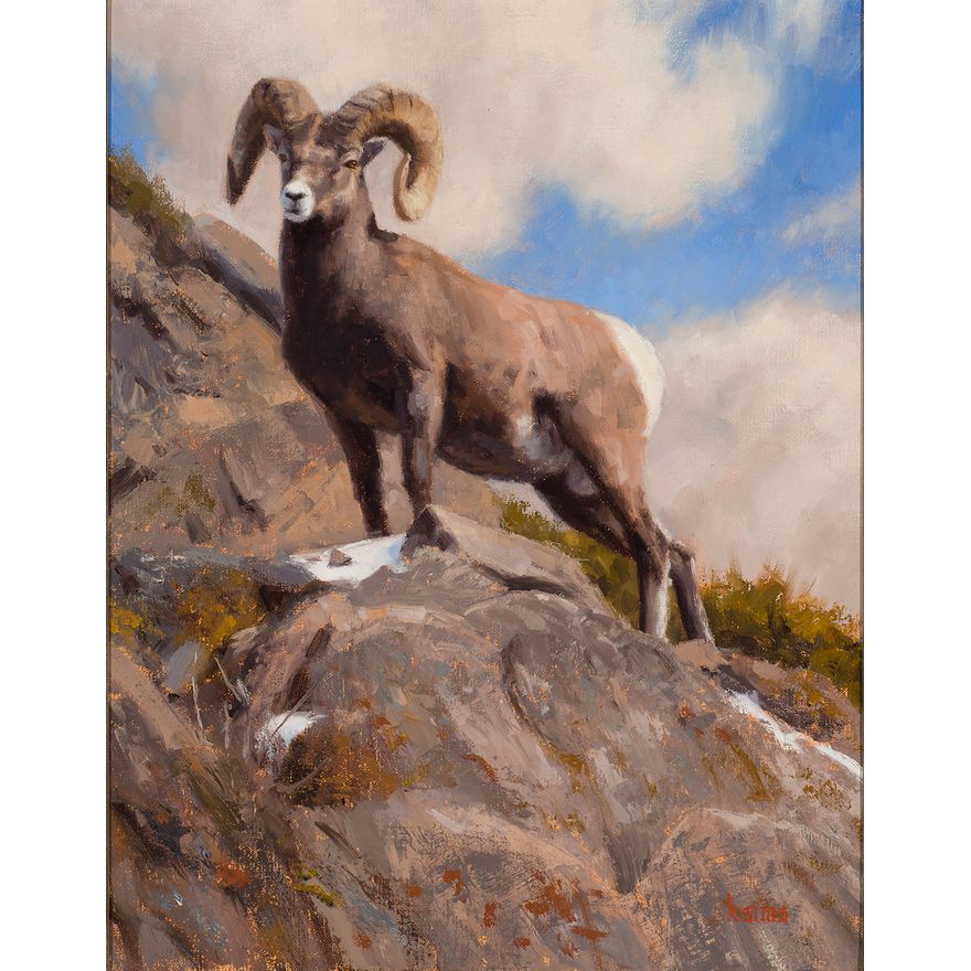 Kyle Sims (1980- ), On the Up and Up