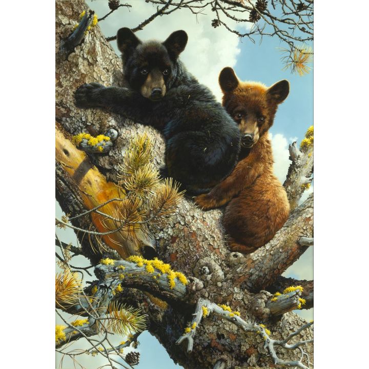 Carl Brenders (1937- ), High Adventure - Black Bear Cubs, 1987