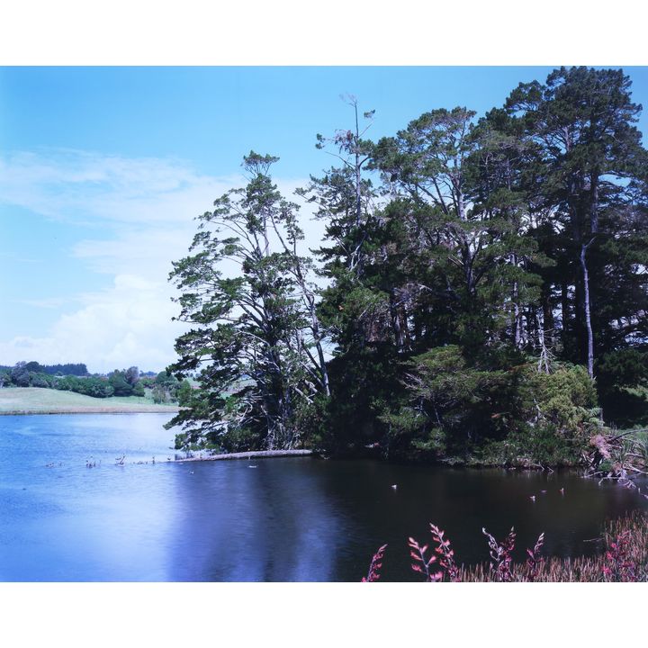 Kevin Capon 'Barrett’s Lagoon'