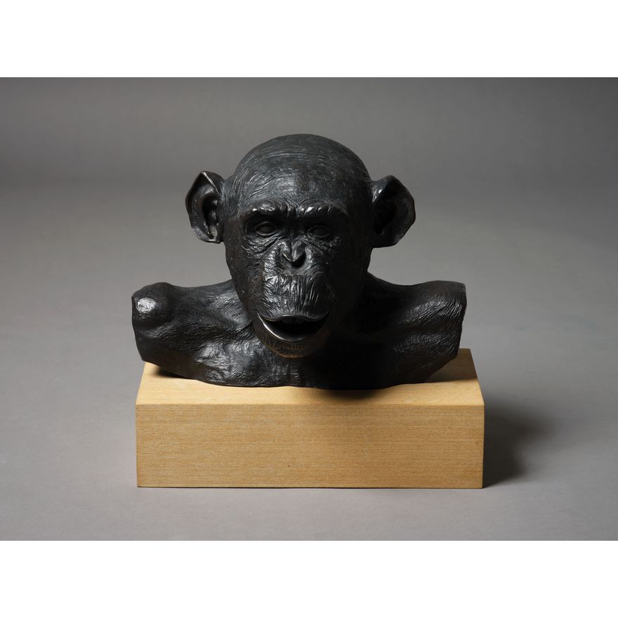 Lisa Roet 'Astro Chimp'